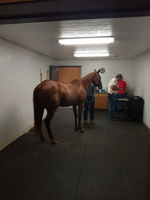 Mckey Equine Hospital Picture 1