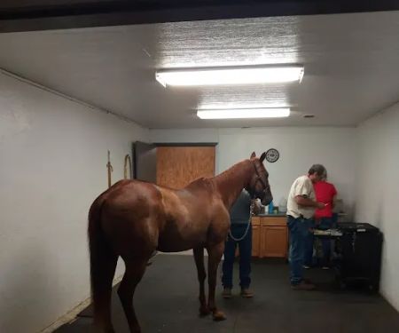 Mckey Equine Hospital
