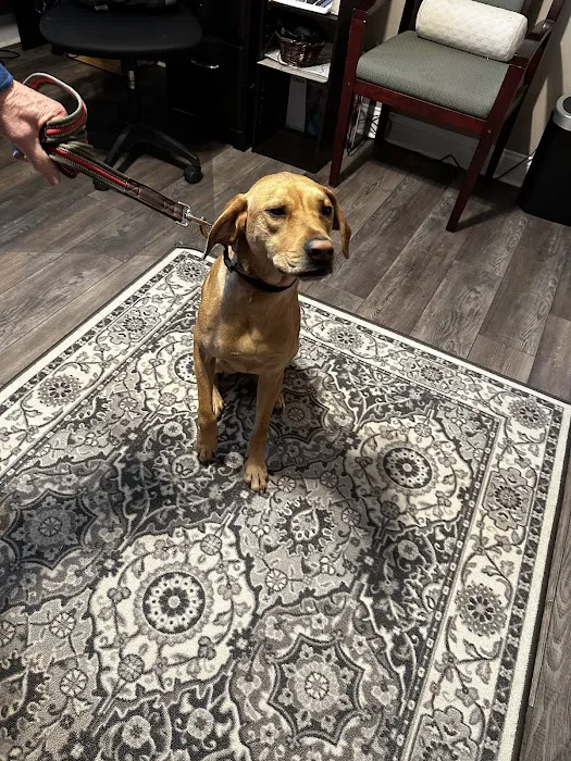 Ahimsa Rescue Foundation Spay/Neuter Clinic Picture 1