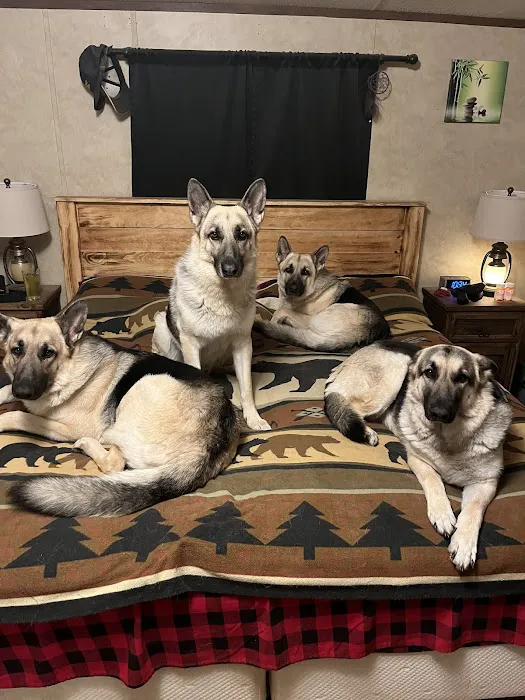 Sparkman Animal Clinic Picture 1