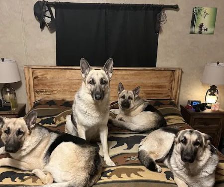 Sparkman Animal Clinic