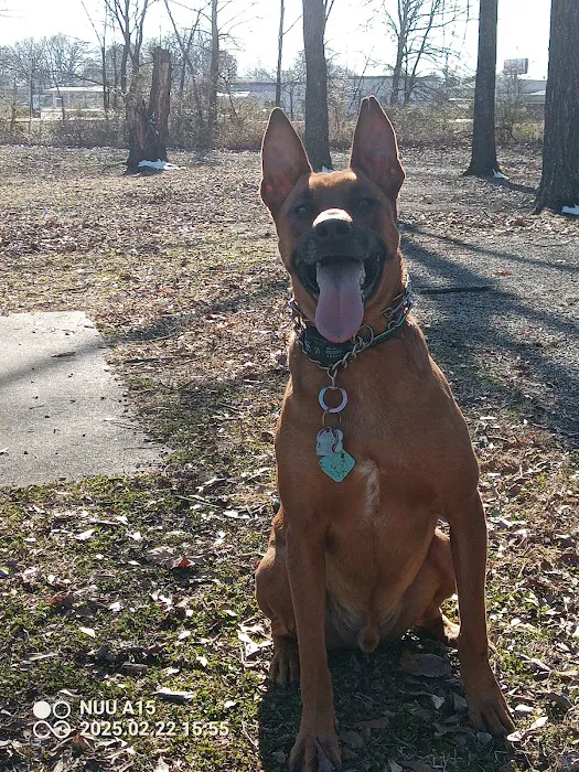 Sparkman Animal Clinic Picture 3