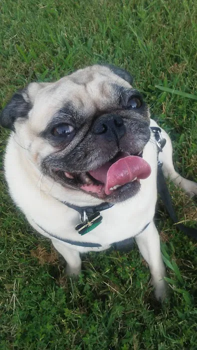 Sparkman Animal Clinic Picture 7