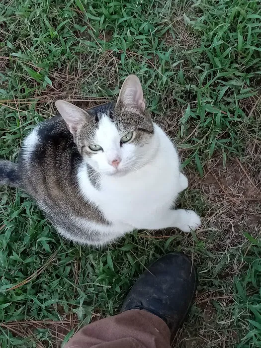 Sparkman Animal Clinic Picture 5