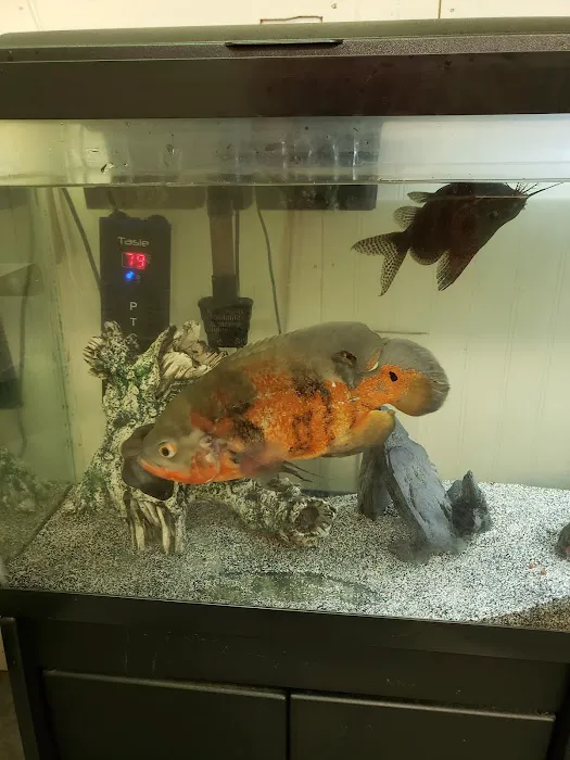 Sparkman Animal Clinic Picture 9