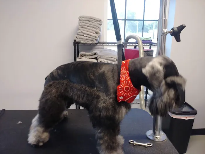 South Lake Veterinary Clinic Picture 2