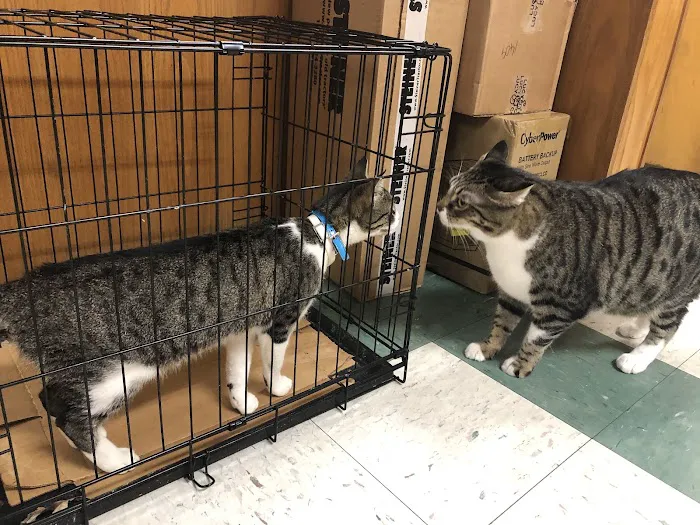 South Lake Veterinary Clinic Picture 7