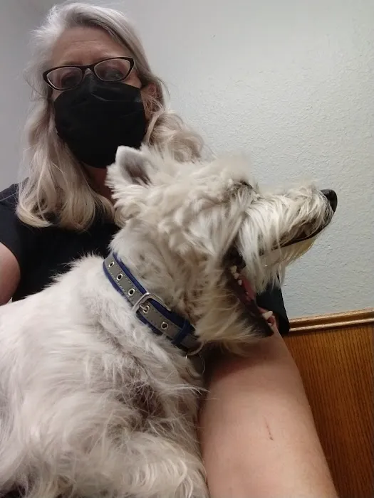 South Lake Veterinary Clinic Picture 8