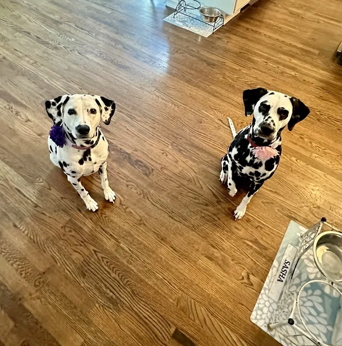 River Trail Animal Hospital and Pet Lodge - Bixby Picture 1