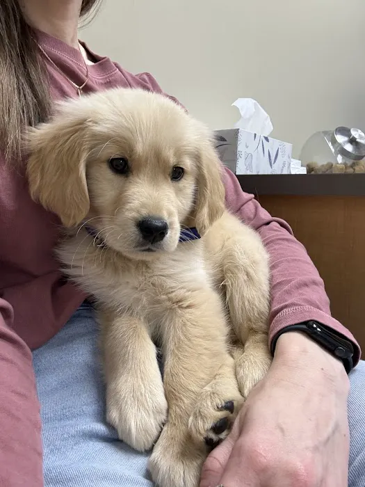 River Trail Animal Hospital and Pet Lodge - Bixby Picture 2