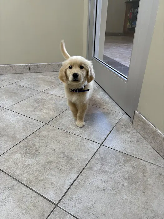 River Trail Animal Hospital and Pet Lodge - Bixby Picture 3