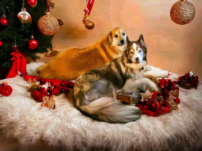 River Trail Animal Hospital and Pet Lodge - Bixby Picture 5