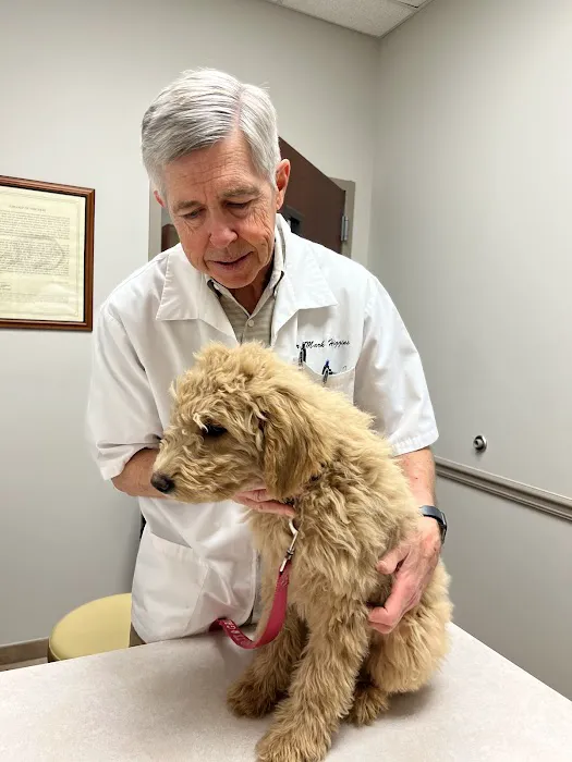 Care Animal Hospital Picture 4