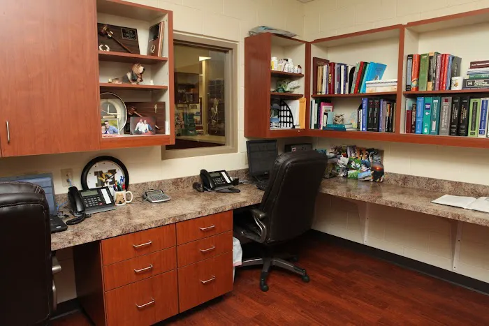 Care Animal Hospital Picture 9