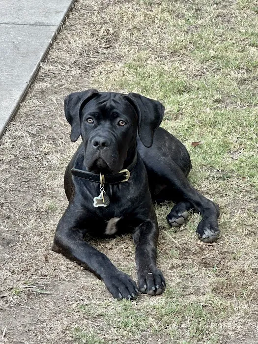 Kindness Animal Hospital Picture 2