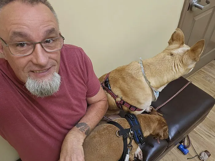 Kindness Animal Hospital Picture 4