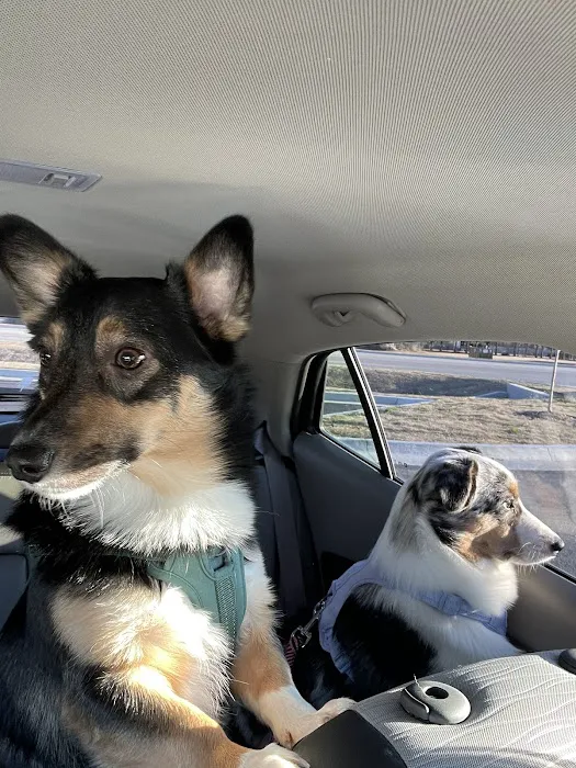 Kindness Animal Hospital Picture 5