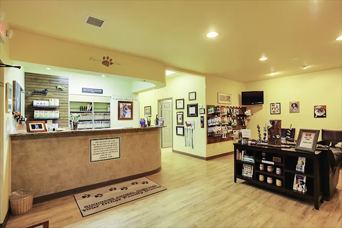 Kindness Animal Hospital Picture 8