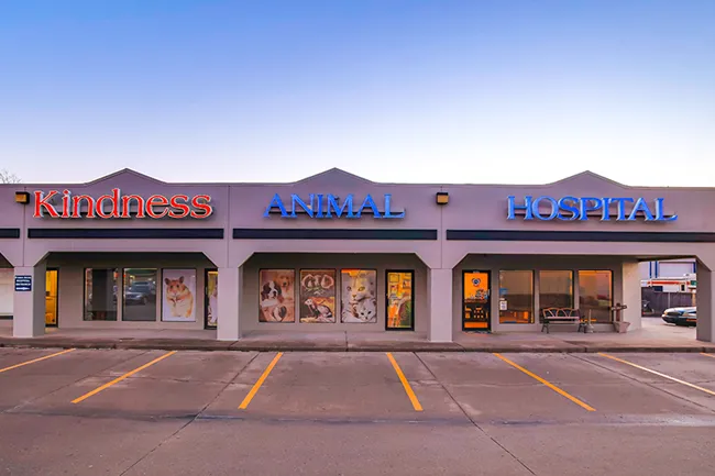 Kindness Animal Hospital Picture 9