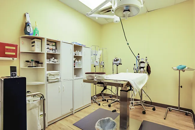 Kindness Animal Hospital Picture 10