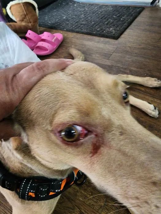 Banfield Pet Hospital Picture 1