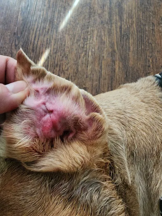 Banfield Pet Hospital Picture 3