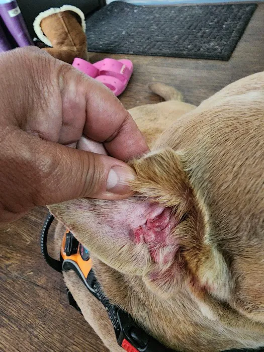 Banfield Pet Hospital Picture 2