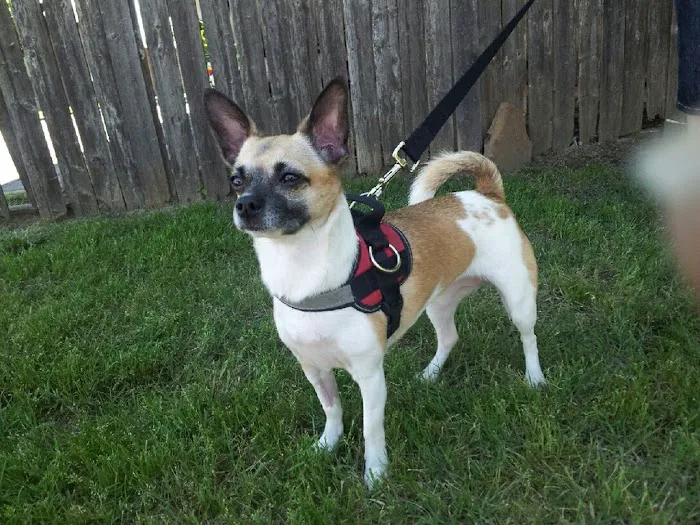 Banfield Pet Hospital Picture 4