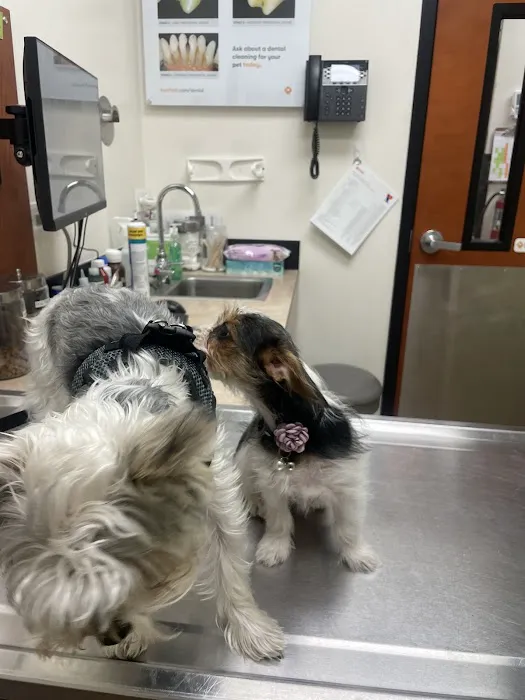 Banfield Pet Hospital Picture 7