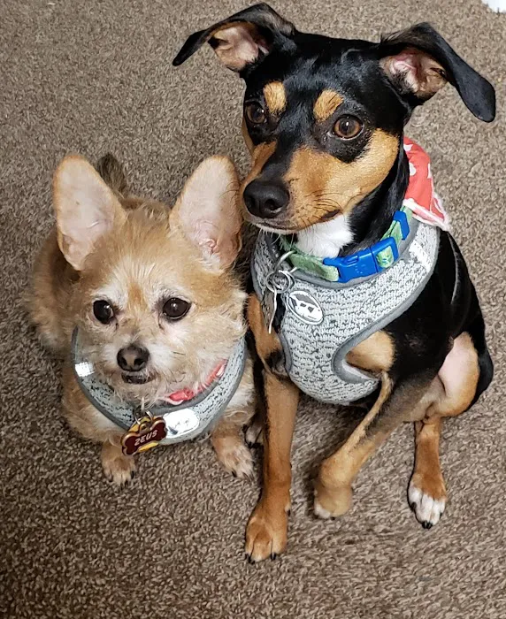 Banfield Pet Hospital Picture 8