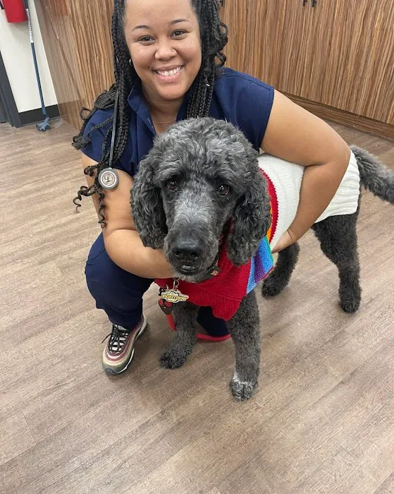 Animal Medical and Surgical Hospital Picture 10