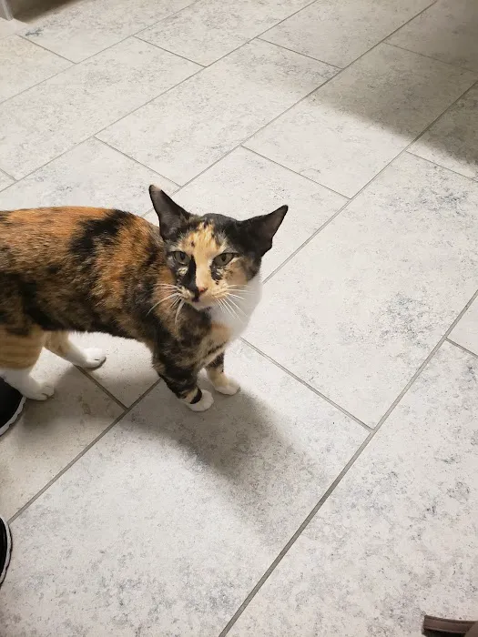 VCA Woodland Central Animal Hospital Picture 3