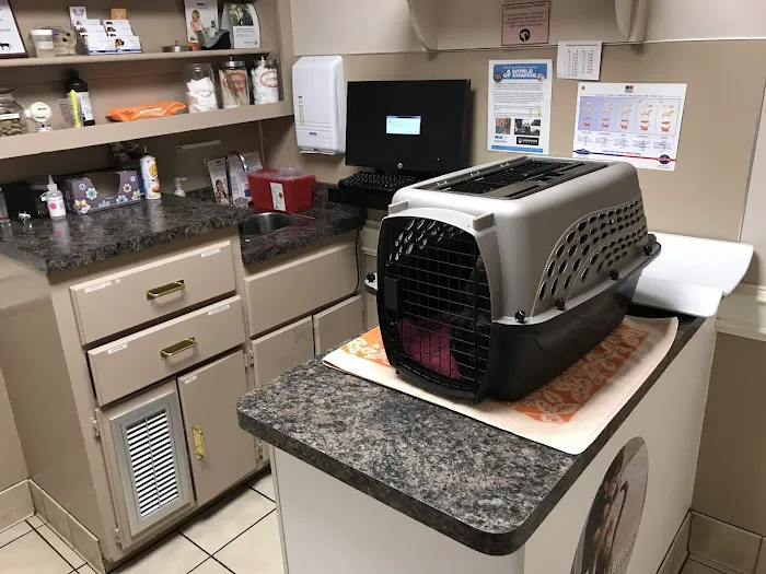 VCA Woodland Central Animal Hospital Picture 5