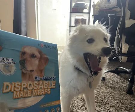 Vetco Total Care Animal Hospital