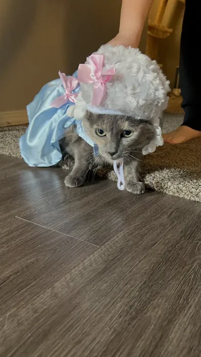 Vetco Total Care Animal Hospital Picture 3