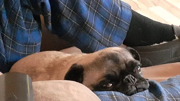 Vetco Total Care Animal Hospital Picture 5