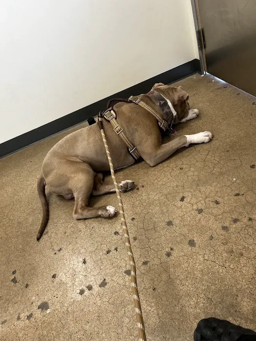 Vetco Total Care Animal Hospital Picture 8