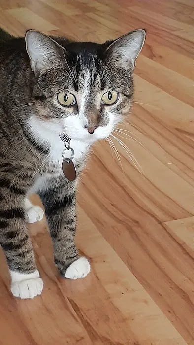 Vetco Total Care Animal Hospital Picture 7