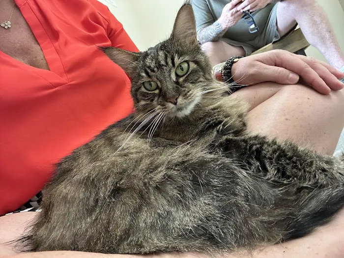 Vetco Total Care Animal Hospital Picture 6