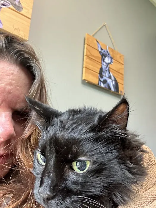 Veterinary Associates Picture 5