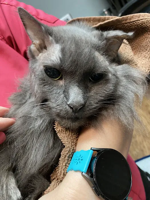 Veterinary Associates Picture 7