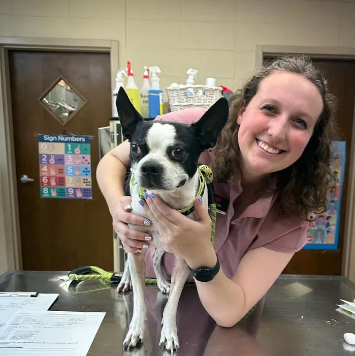 Veterinary Associates Picture 6