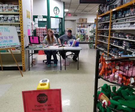 Lou Anne Wolfe, D.V.M.