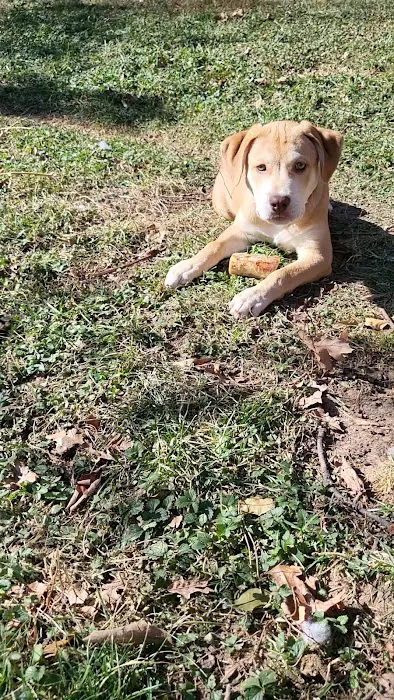 Southern Agriculture Inc: Jones Dan DVM Picture 1