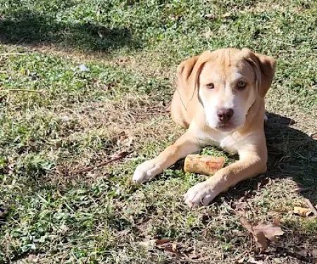 Southern Agriculture Inc: Jones Dan DVM