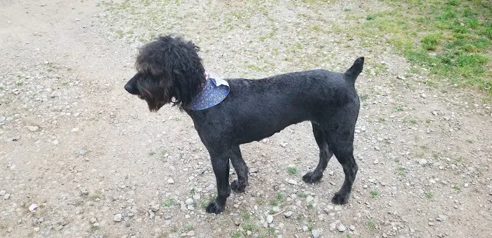 Southern Agriculture Inc: Jones Dan DVM Picture 3