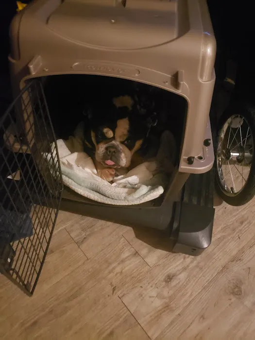 Southern Agriculture Inc: Jones Dan DVM Picture 2