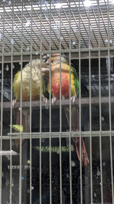 Southern Agriculture Inc: Mitchell David G DVM Picture 2