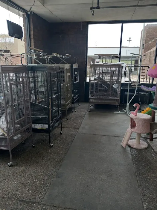 Southern Agriculture Inc: Mitchell David G DVM Picture 1