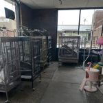 Southern Agriculture Inc: Mitchell David G DVM